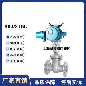 Z941W-16P，DN250，CF8/F304不銹鋼電動閘閥